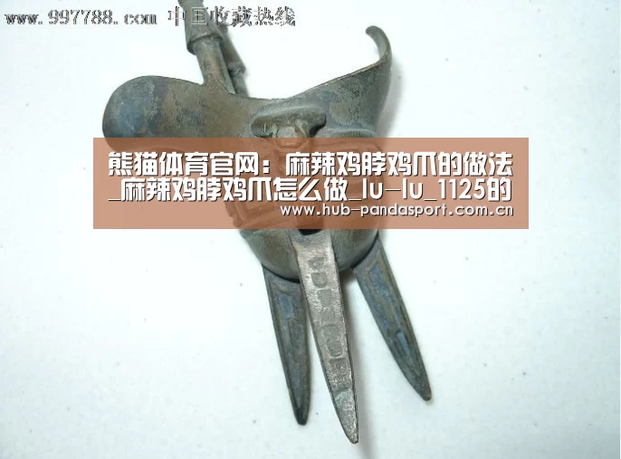 熊猫体育官网:麻辣鸡脖鸡爪的做法_麻辣鸡脖鸡爪怎么做_lu-lu_1125的菜谱(图1) 熊猫赛事