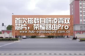 熊猫体育平台