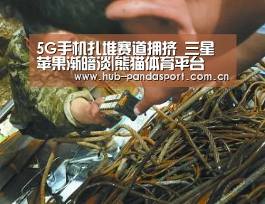 熊猫体育平台