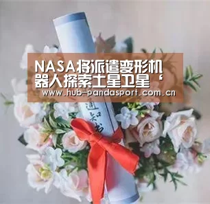 NASA将派遣变形机器人探索土星卫星‘熊猫体育平台’(图4) 熊猫体育
